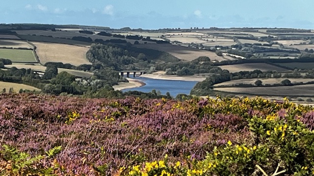 Heather moorland with reservoir views